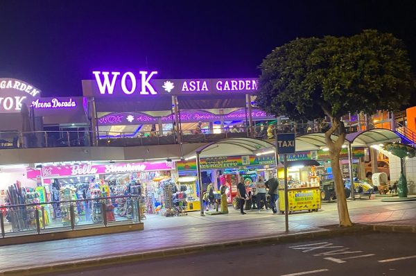 Wok asia garden puerto del carmen