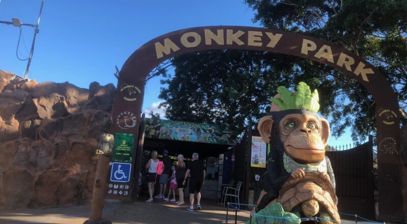 Monkey Park Tenerife